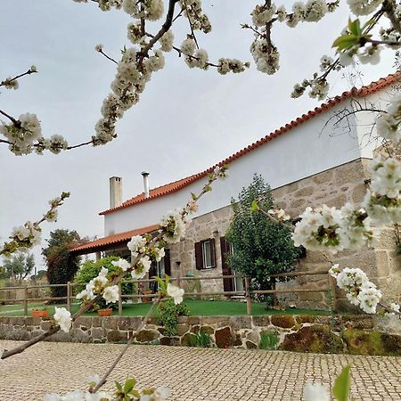 A Casa Do Soito Villa Oliveira do Hospital Luaran gambar